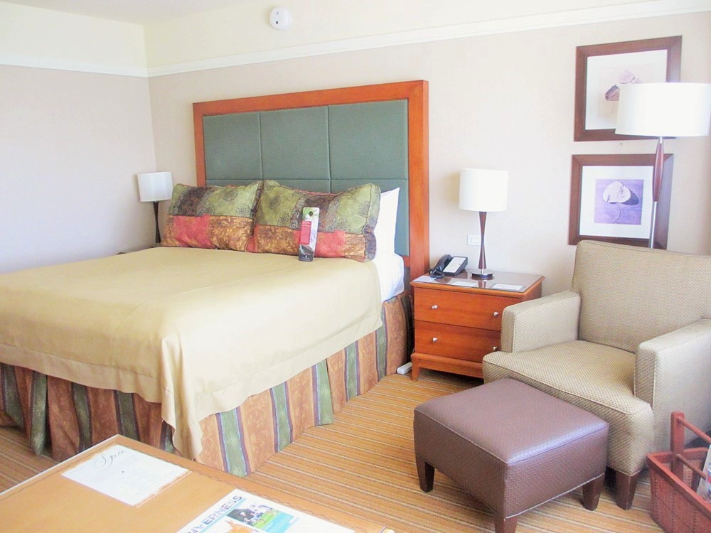 1bed