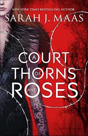  ACourtofThornsandRoses 