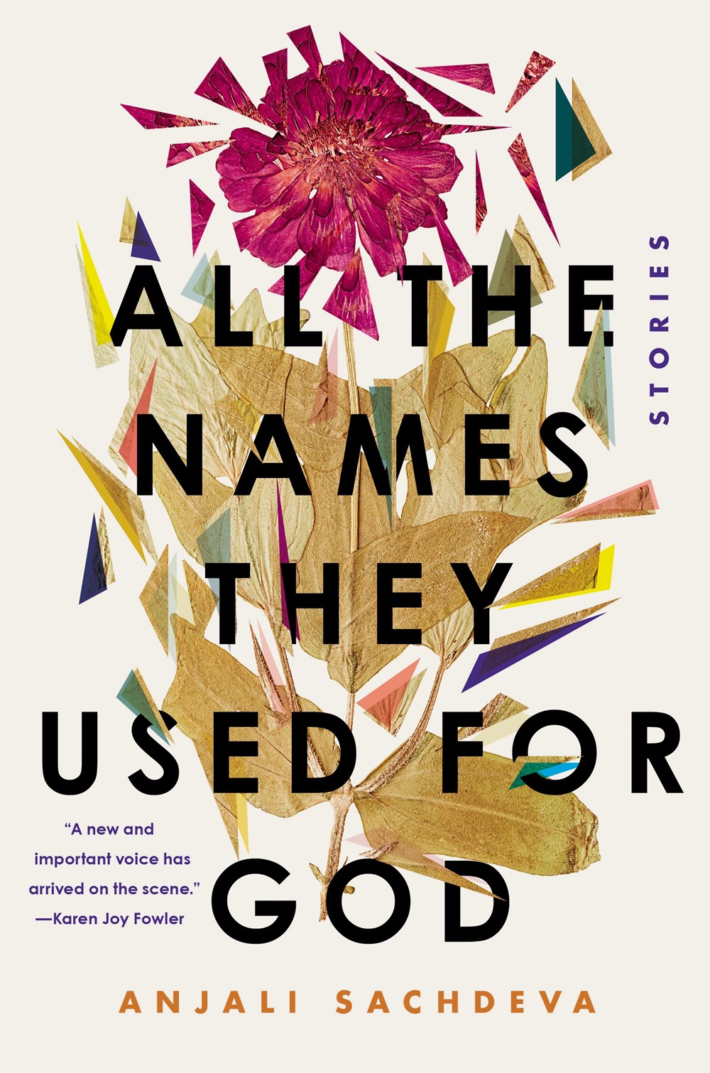 All the Names They Used for God, Anjali Sachdeva